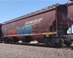 BNSF 491913